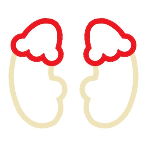 Earring Valentine Earring Valentine