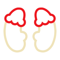 Earring Valentine Earring Valentine