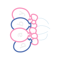 Echocardiography Valentine Echocardiography Valentine