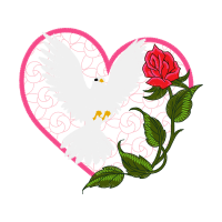 Evergreen Rose Valentine Evergreen Rose Valentine