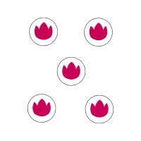 Heart Valentine Heart Valentine