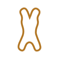 Heart Valentine Heart Valentine