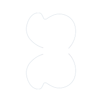 Heart Valentine Heart Valentine