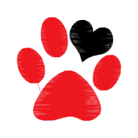 Heart Valentine Heart Valentine