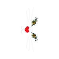 Illustration Valentine