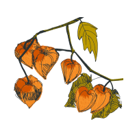 Illustration Valentine Illustration Valentine