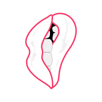 Illustration Valentine