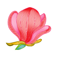 Illustration Valentine