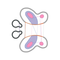 Illustration Valentine