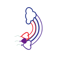 Meter Valentine Meter Valentine