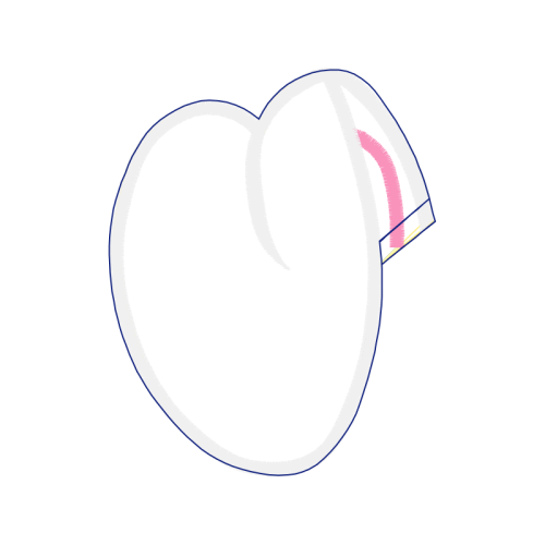 Necklace Valentine Necklace Valentine