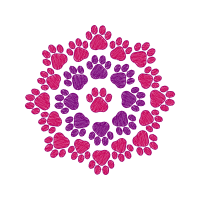 Plainpalais Valentine