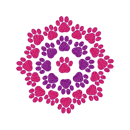 Plainpalais Valentine Plainpalais Valentine