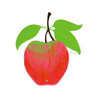 Seedless Fruit Valentine Seedless Fruit Valentine