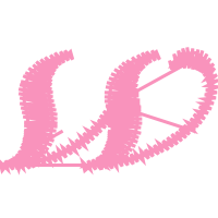 Symbol Valentine Symbol Valentine