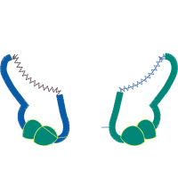 Necklace Other Necklace Other