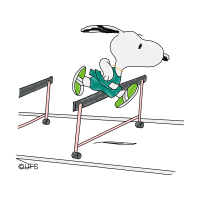 110 Metres Hurdles Other