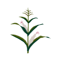 42021 Other 42021 Other