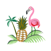 Accessory Fruit Other Accessory Fruit Other