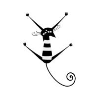 Accipitridae Other Accipitridae Other