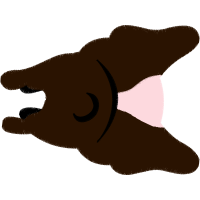 Alligators Other Alligators Other