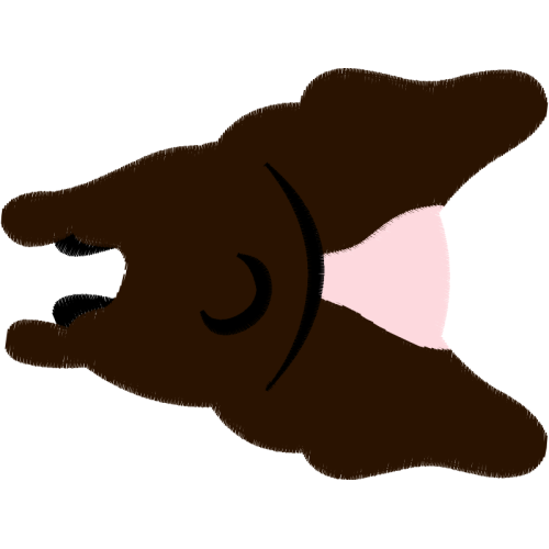 Alligators Other Alligators Other