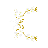 Alyssum Other Alyssum Other