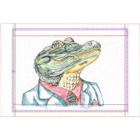 American Alligator Other American Alligator Other