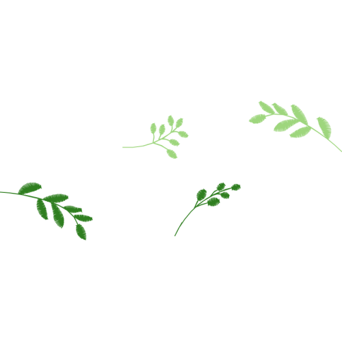 Angelyka Barbosa Matrizes De Bordado Other Angelyka Barbosa Matrizes De Bordado Other