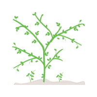 Angelyka Barbosa Matrizes De Bordado Other Angelyka Barbosa Matrizes De Bordado Other