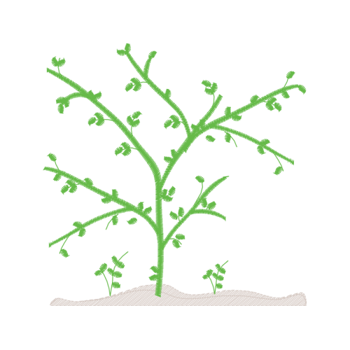 Angelyka Barbosa Matrizes De Bordado Other Angelyka Barbosa Matrizes De Bordado Other