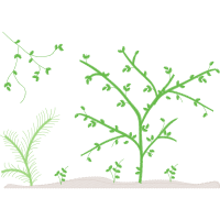 Angelyka Barbosa Matrizes De Bordado Other Angelyka Barbosa Matrizes De Bordado Other