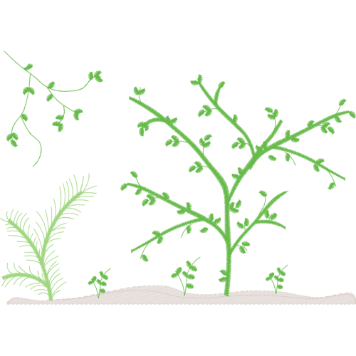 Angelyka Barbosa Matrizes De Bordado Other Angelyka Barbosa Matrizes De Bordado Other