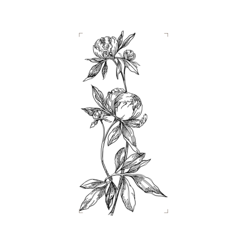 Animation Other Animation Other