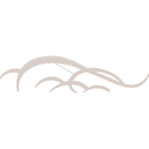 Architecture Other Architecture Other