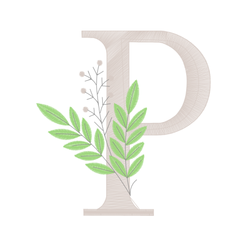 Arizona Cypress Other Arizona Cypress Other