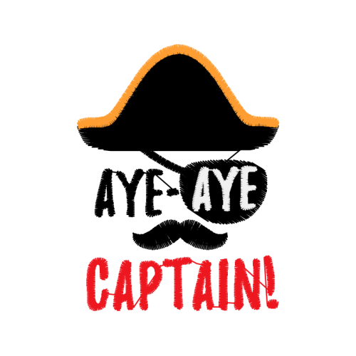 Aye Aye Other Aye Aye Other