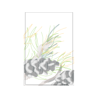 Babassu Other Babassu Other