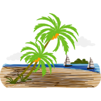 Babassu Other Babassu Other