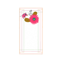 Barberton Daisy Other Barberton Daisy Other