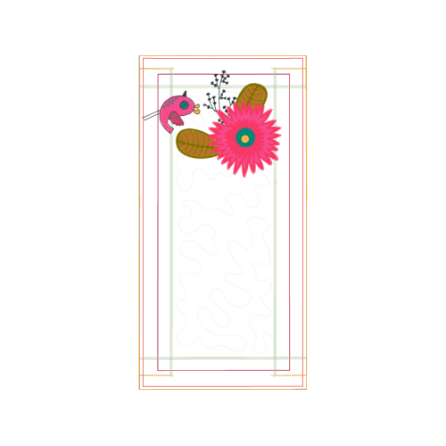 Barberton Daisy Other Barberton Daisy Other