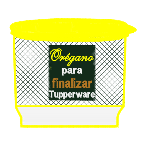 Basket Other Basket Other