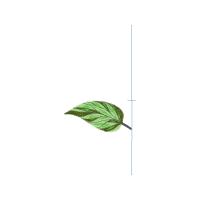 Bead Other Bead Other