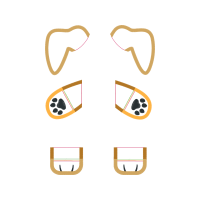 Belt Other Belt Other