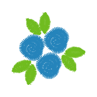 Berry Other Berry Other