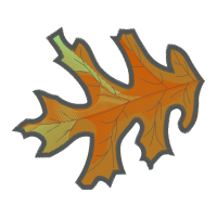 Bfc51 Other Bfc51 Other