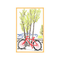 Bike Other Bike Other