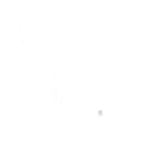 Birch A Other Birch A Other