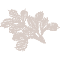 Black And White Other