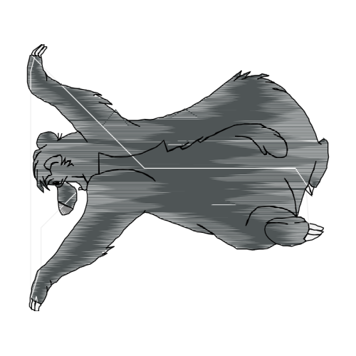 Black Other Black Other